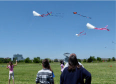 Spring is in the air and so are kites! April is National Kite Month!