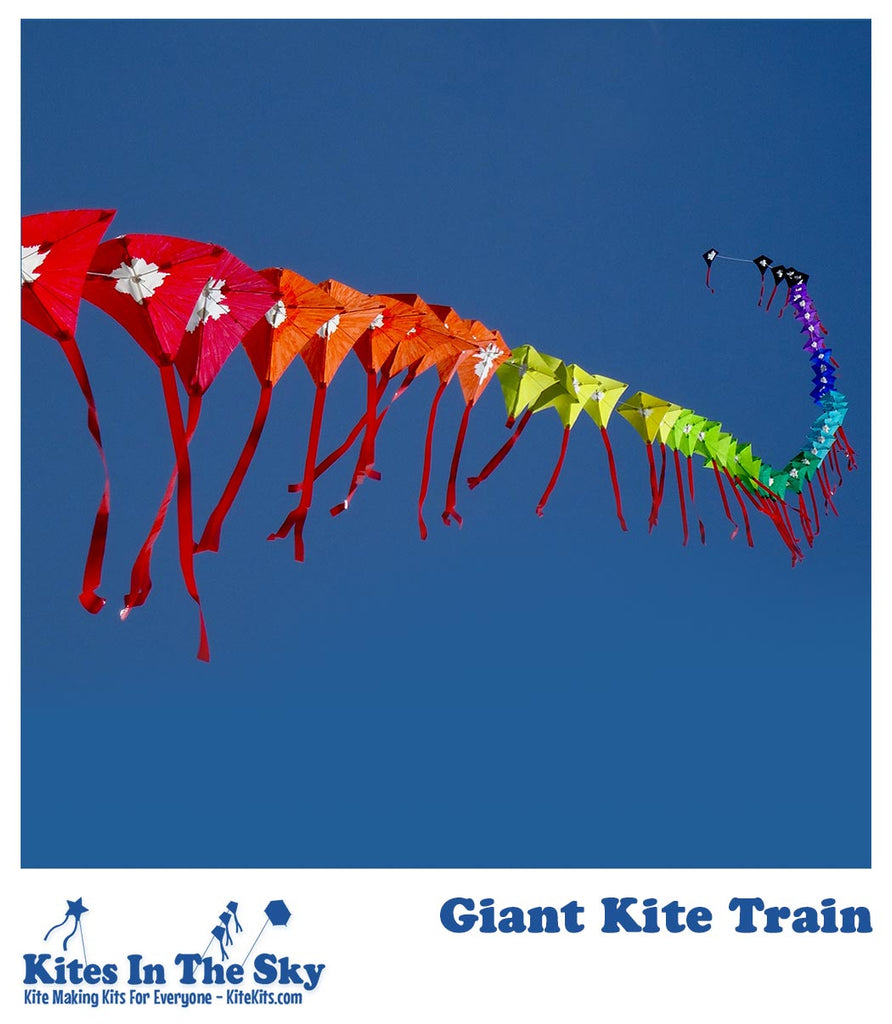 Giant Kite Train DIY Kite Kit - Kites In The Sky