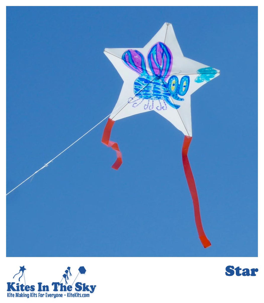 Star DIY Kite Kit - Kites In The Sky