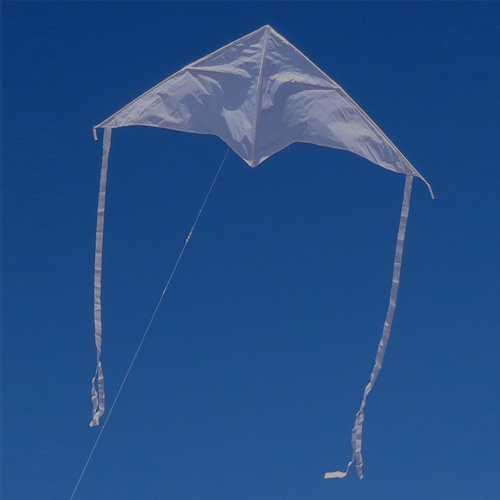 Ready To Fly Kite Kits