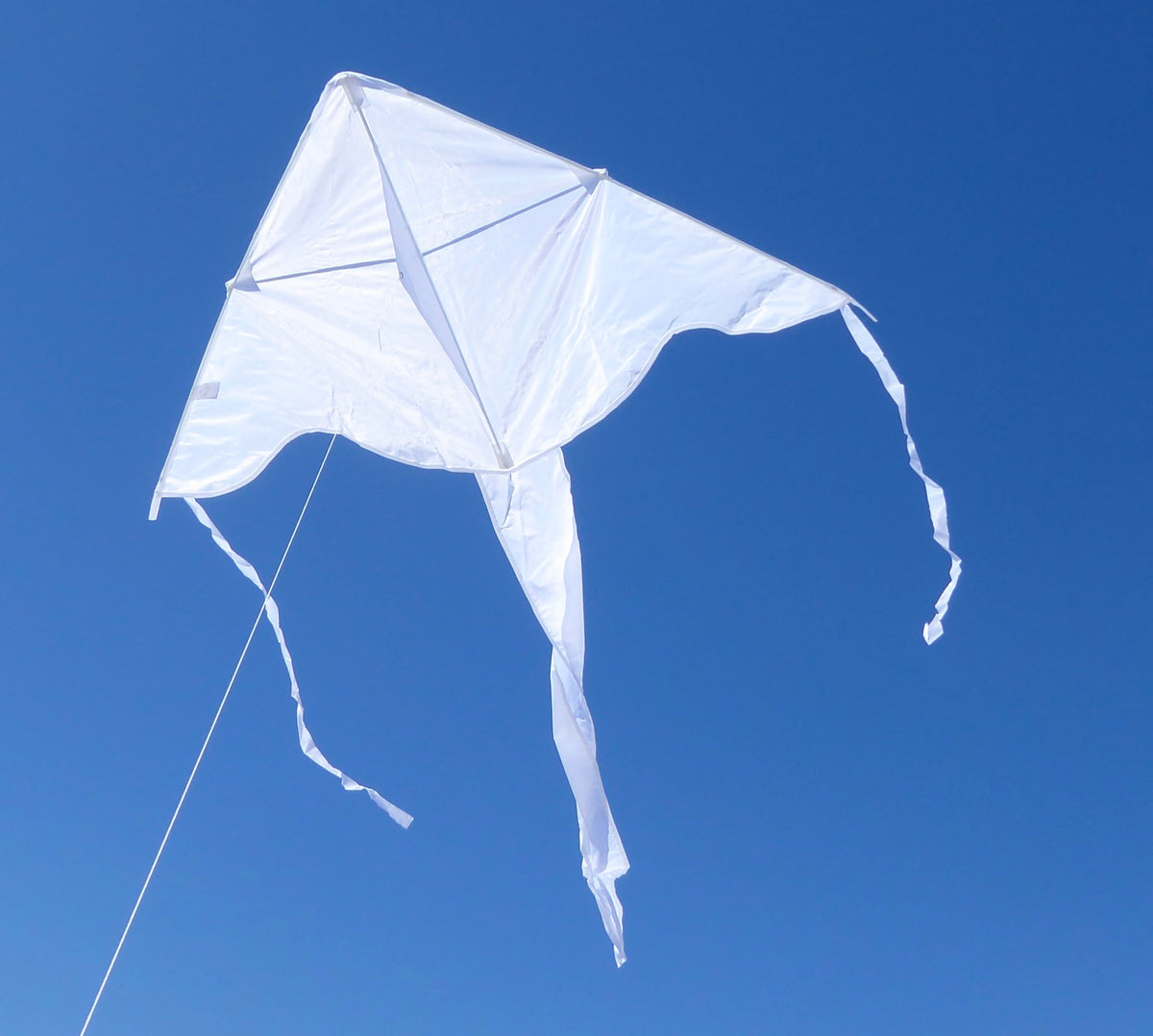 Colorfly Fly-Hi Kite Kit – Kites In The Sky