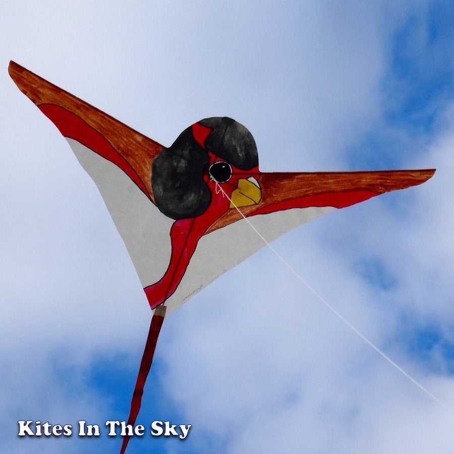Make a Bird Kite!, Blog