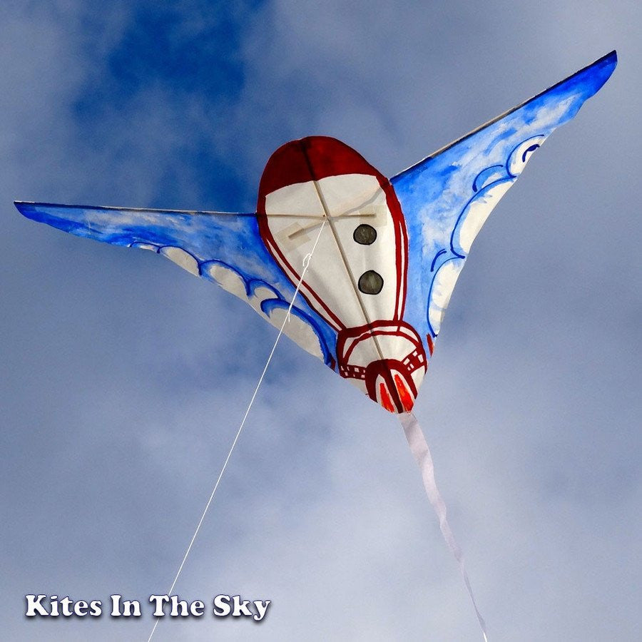 Brasington Bird DIY Kite Kit - Kites In The Sky
