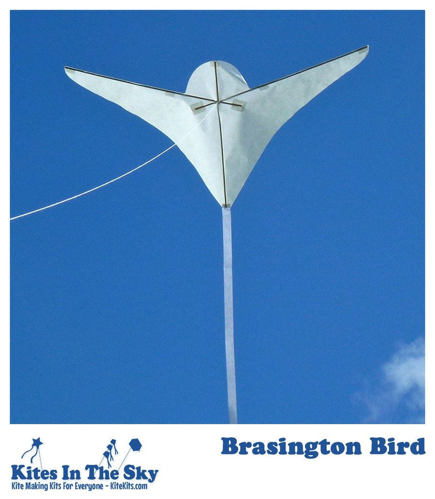 Kite Paperwork Beginner Kite Kits – Kites In The Sky