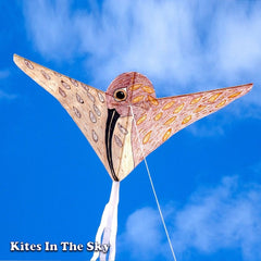 Make a Bird Kite!, Blog