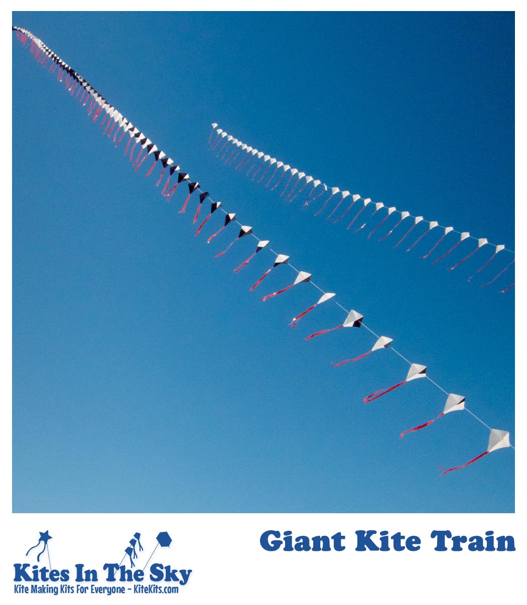 Kite Line Kit - 3 Clip Line