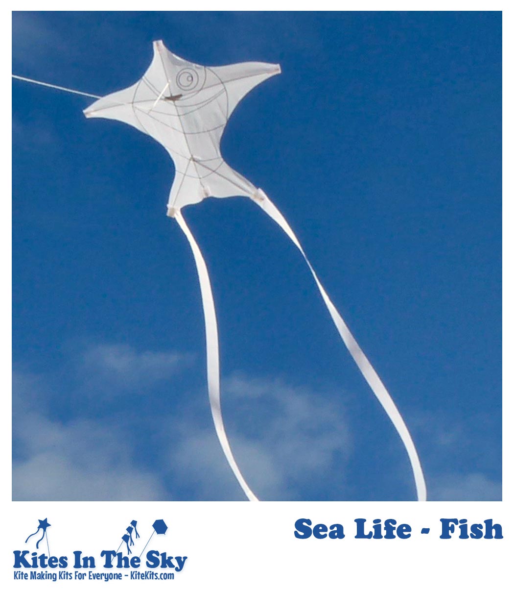 Sea Life - Fish Kite – Kites In The Sky